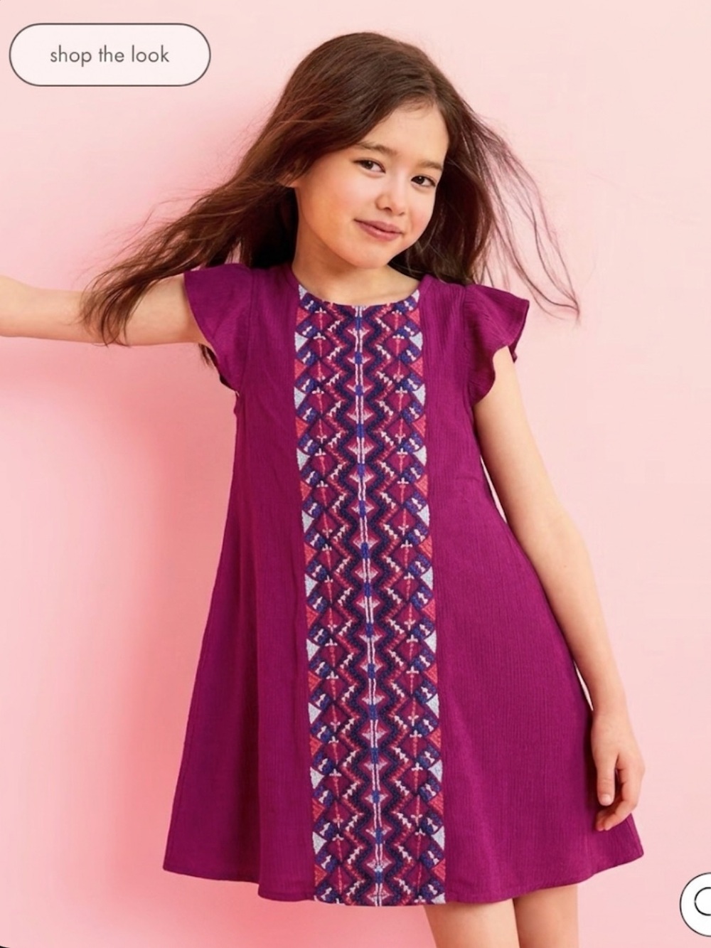 Boho Embroidered Flutter Sleeve Swing Dress | Plum Magenta 3T EUC (Twirl Dress)